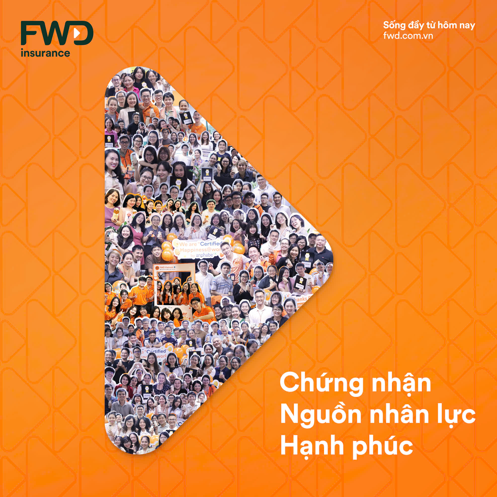 lĩnh vực hoạt động